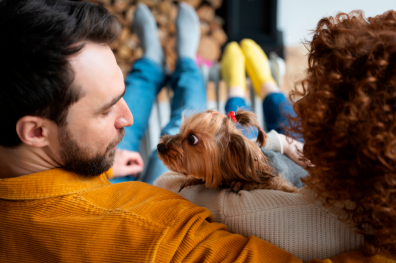 Radiobastides - Initiatives Citoyennes Bien-être animal - Accepter la fin d'un cycle