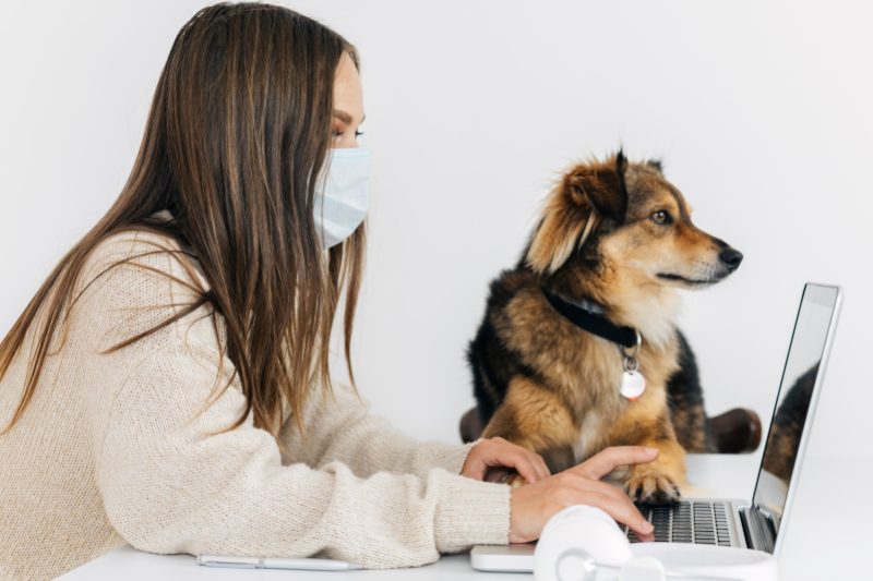 Radiobastides - Initiatives Citoyennes La maladie chez les animaux et les humains