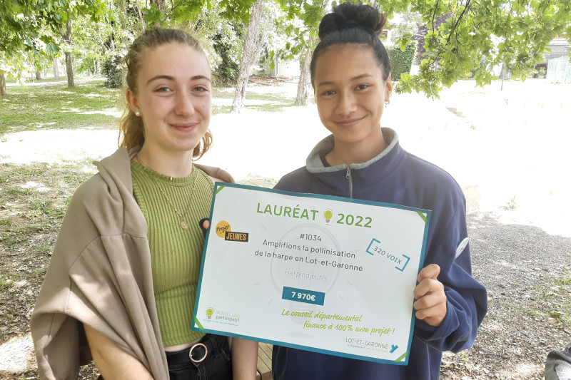 Radiobastides - L’École De La Vie Junior association - Les harpes