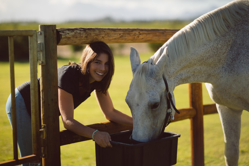 Radiobastides - Initiatives Citoyennes Refuge Cheval Nature